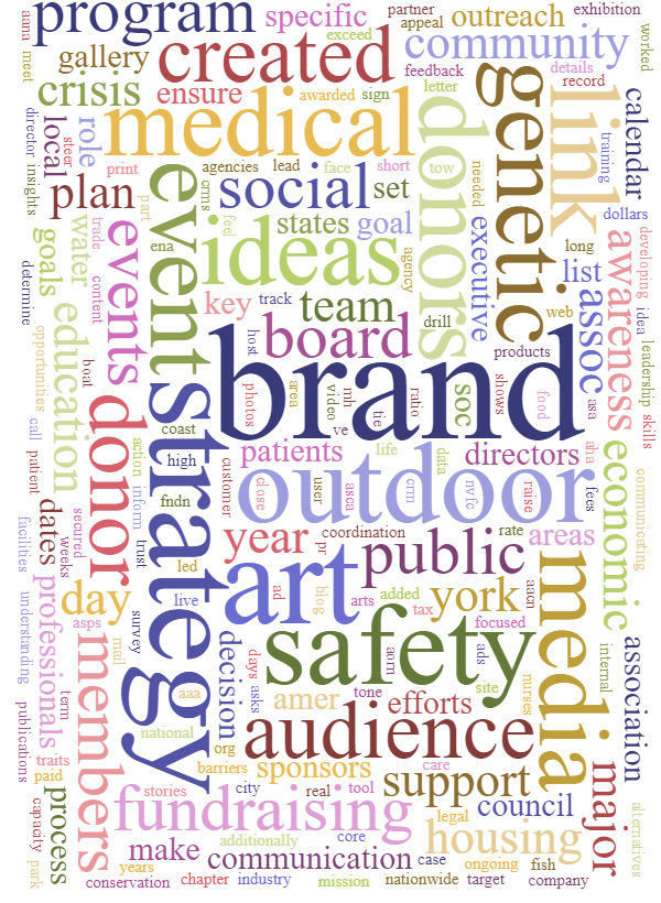 Michael asks you, "What do you want to do today?" This image called "Inspire Image 28" is a word cloud of activities that many for profits and causes want to accomplish.